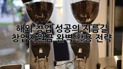 해외 창업 성공의 지름길: 창업지원금 완벽 활용 전략